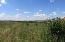 Teren 3500 mp, front 34 ml utilitati la front, zona linistita nou dezvoltata