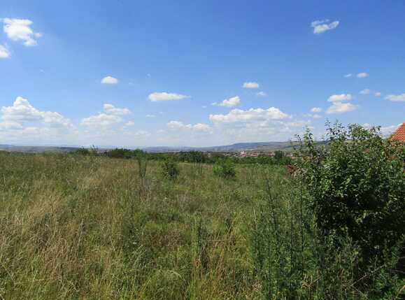 Teren de vânzare Apahida - 26906TV | BLITZ Cluj-Napoca | Poza3