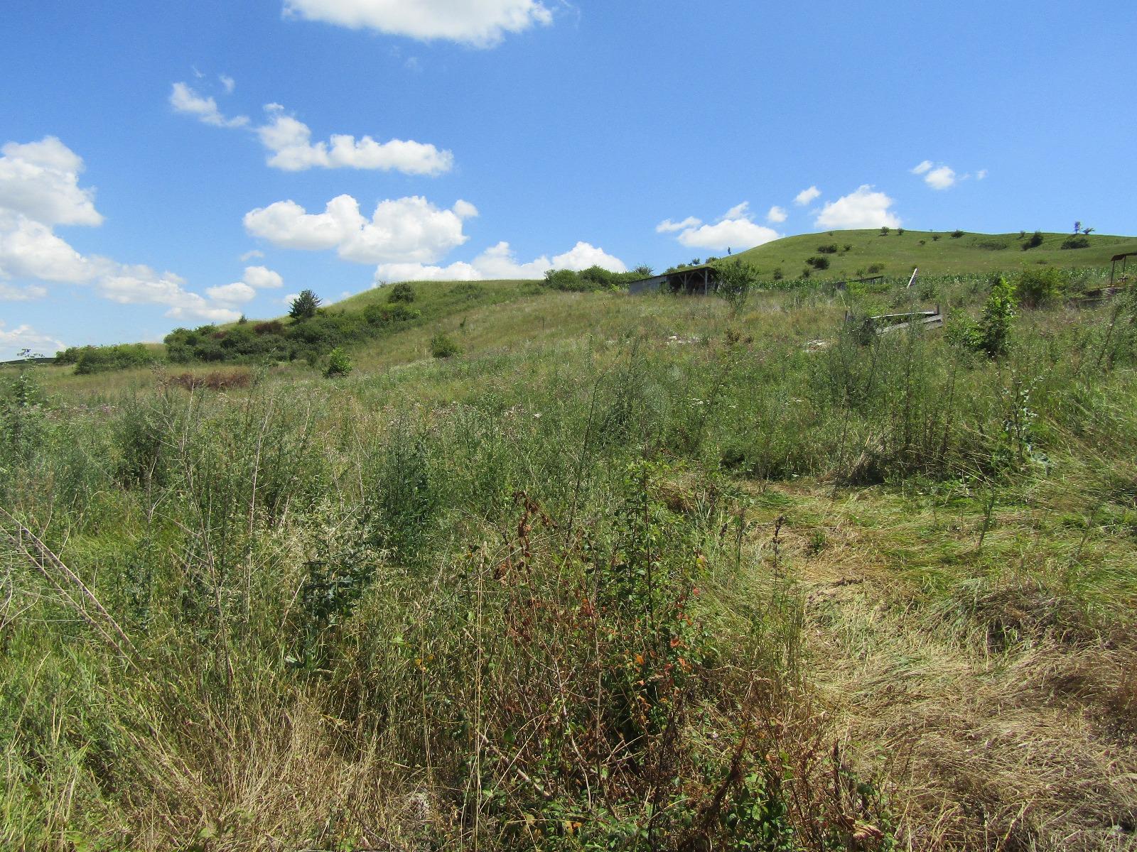 Teren de vânzare Apahida - 26906TV | BLITZ Cluj-Napoca | Poza4