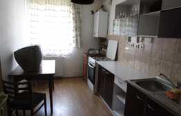 Vanzare garsoniera confort sporit, 43 mp! Parcare! Zona strazii Cetatii!