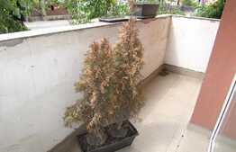 Vanzare garsoniera confort sporit, 43 mp! Parcare! Zona strazii Cetatii!