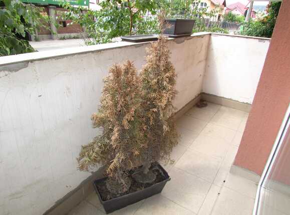 Garsonieră de vânzare Floreşti - 26916AV | BLITZ Cluj-Napoca | Poza10