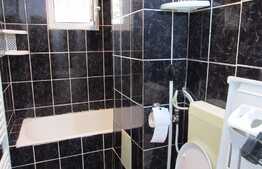 Apartament de inchiriat 3 camere, 47 mp, mobilat modern, zona Big