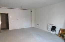 Apartament 2 camere, 52 mp, decomandat, semifinisat, garaj, zona Iulius Mall