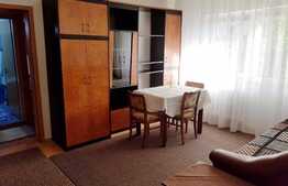 Apartament de inchiriat, 2 camere, 48 mp, zona Big