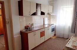 Apartament de inchiriat, 2 camere, 48 mp, zona Big