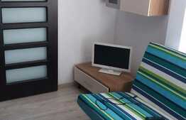 Garsoniera 20 mp, decomandata, imobil de tip casa, zona strazii Traian Vuia