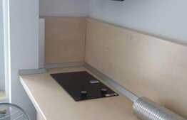 Garsoniera 20 mp, decomandata, imobil de tip casa, zona strazii Traian Vuia