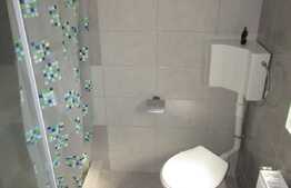 Garsoniera 22 mp, decomandata, zona strazii Traian Vuia