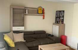 Studio open space 1 camera, 50 mp, terasa de 100 mp, zona Hasdeu