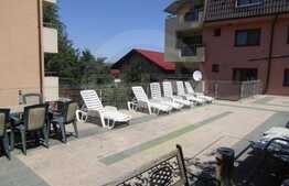 Studio open space 1 camera, 50 mp, terasa de 100 mp, zona Hasdeu