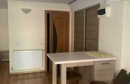 Studio open space 1 camera, 50 mp, terasa de 100 mp, zona Hasdeu