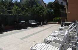 Studio open space 1 camera, 50 mp, terasa de 100 mp, zona Hasdeu