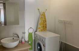 Studio open space 1 camera, 50 mp, terasa de 100 mp, zona Hasdeu