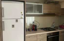 Studio open space 1 camera, 50 mp, terasa de 100 mp, zona Hasdeu