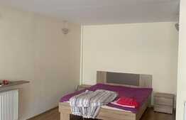 Studio open space 1 camera, 50 mp, terasa de 100 mp, zona Hasdeu