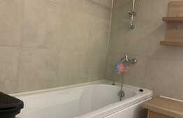 Studio open space 1 camera, 50 mp, terasa de 100 mp, zona Hasdeu