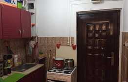 De vanzare garsoniera 21 mp, etaj intermediar, zona strazii Campina