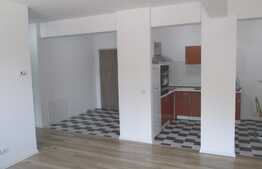 2 camere, 67 mp, prima inchiriere, terasa 50 mp, garaj,  zona strazii Maramuresului