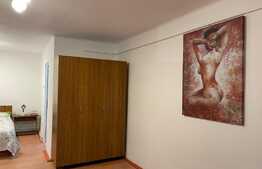 Apartament 1 camera, decomandat, 40 mp, zona Parcului Central- Chios