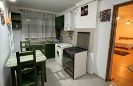 Apartament 1 camera, decomandat, 40 mp, zona Parcului Central- Chios