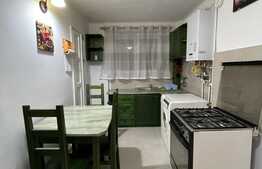 Apartament 1 camera, decomandat, 40 mp, zona Parcului Central- Chios