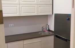 Apartament 2 camere, 54 mp, terasa 39 mp, zona strazii Decebal! LA CHEIE!