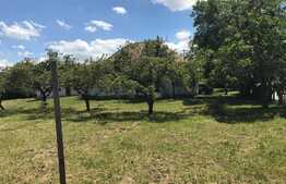 Teren cu destinatii multiple la limita de PUG. 