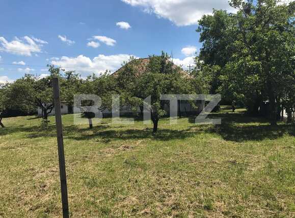 Teren de vânzare Făget - 26971TV | BLITZ Cluj-Napoca | Poza4