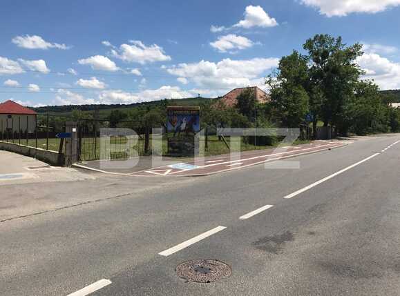 Teren de vânzare Făget - 26971TV | BLITZ Cluj-Napoca | Poza1