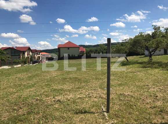 Teren de vânzare Făget - 26971TV | BLITZ Cluj-Napoca | Poza2