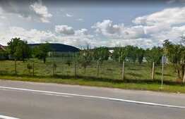 Teren de inchiriat, 6000 mp, pentru depozitare