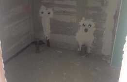 De vanzare apartament 2 camere, 54 mp, terasa 10 mp, zona Piata Mihai Viteazu