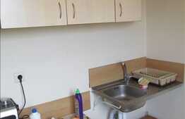 Inchiriere apartament 1 camera, 43 mp utili, zona linistita,7 minute de Kaufland