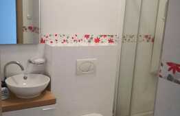 Apartament 3 camere, 80 mp, terasa 22,5 mp, garaj, zona strazii Buna Ziua