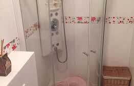 Apartament 3 camere, 80 mp, terasa 22,5 mp, garaj, zona strazii Buna Ziua