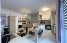 Apartament 2 camere, 44 mp, parcare, mobilat modern, zona strazii Traian