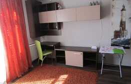 Apartament decomandat cu 2 camere, 56 mp! Parcare! Zona strazii Tineretului!