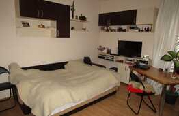 EXCLUSIVITATE! Garsoniera 36 mp, prima inchiriere, zona Golden Tulip