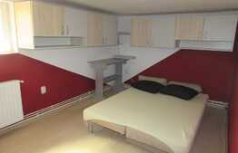 Apartament cu 3 camere pe 2 niveluri, ULTRACENTRAL, 60 mp, zona Piata Unirii