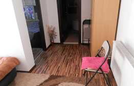 De vanzare garsoniera confort 1, 34 mp, mobilata si utilata! Zona Terra!