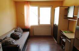 Garsoniera de vanzare, 16 mp, etaj intermediar, zona Dedeman