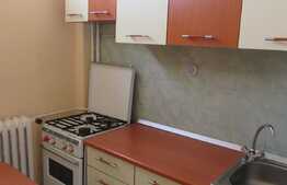 Garsoniera de inchiriat, 28 mp, decomandata, zona Big