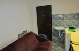 Garsoniera  33 mp, decomandata, garaj,  zona Farmec