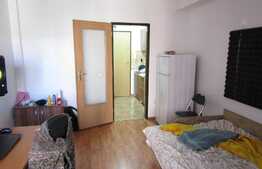 Garsoniera 24 mp, etaj intermediar, zona FSEGA