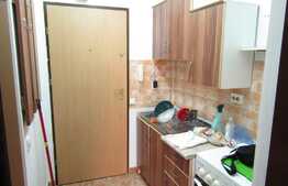 Garsoniera 24 mp, etaj intermediar, zona FSEGA