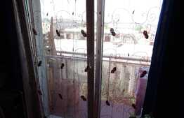 Garsoniera 29 mp, etaj intermediar, imobil nou, zona strazii Plevnei