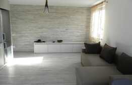 Apartamentul realizat in stil minimalist cu efecte realiste