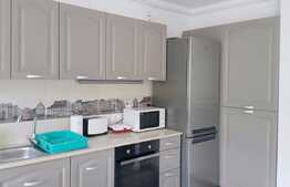 Apartament 1 camera, 45 mp, mobilat modern, terasa, parcare, zona strazii Donath