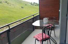 Apartament 1 camera, 45 mp, mobilat modern, terasa, parcare, zona strazii Donath